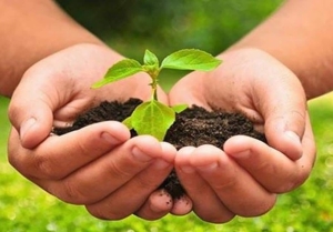 Con respaldo legislativo, se viene el IV Congreso de Agroecología