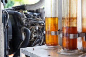 Transformarán el aceite vegetal usado en combustible biodiesel
