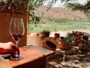 Vinos jujeños de altura estarán en las Jornadas Nacionales de Enoturismo