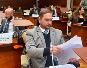 Boleta &uacute;nica de papel: proyecto legislativo apunta a "m&aacute;s transparencia"