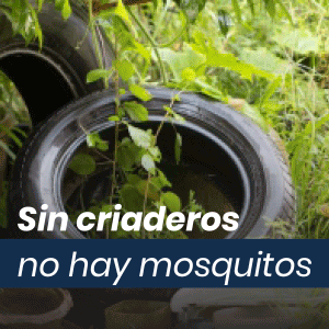 gobierno_mayo26_300-x-300.gif