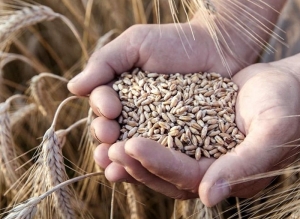 Coyuntura econ&oacute;mica: la fuerza del agro y la ca&iacute;da de la industria