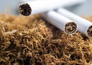 ITGA: para Aranda desestimar a los productores "es un grave error"