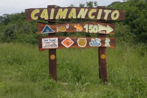 Licitan obras para una Miniestación de Transferencia en Caimancito