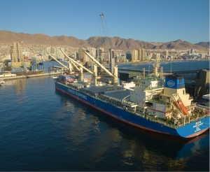 Comercio Exterior: cuenta regresiva para Rueda Virtual de Negocios