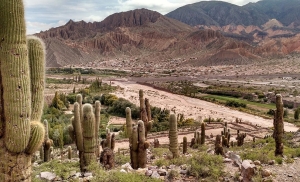 M&aacute;s de 69 millones de pesos para proyectos de comunidades de Quebrada y Puna