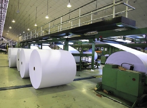 Difundieron virtudes del papel jujeño con fibra de caña, único en el mundo