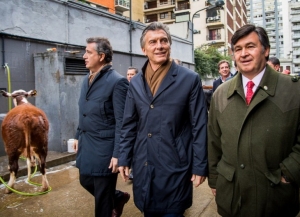 La presi&oacute;n tributaria al agro subi&oacute; m&aacute;s de diez puntos y lleg&oacute; al 91% de la ganancia