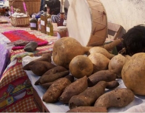 Revalorizando el Yacón: Llega el 3° Encuentro Provincial de Productores