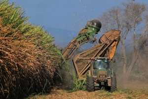 El Ingenio La Esperanza inició la zafra 2021