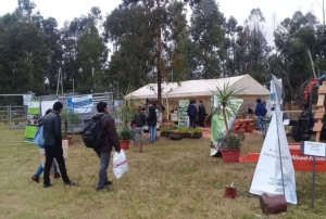 Hoy abre sus puertas la Primera Expo Rural Jujuy 2023