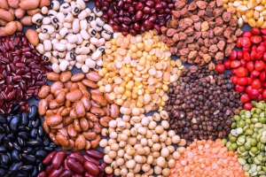 Legumbres juje&ntilde;as se exportan a Asia