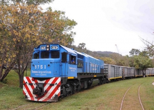 Ferrocarril: alternativa para las econom&iacute;as regionales