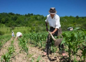 Beneficios sociales y ruralidad: propuestas para &ldquo;contar con la valiosa mano de obra&rdquo;