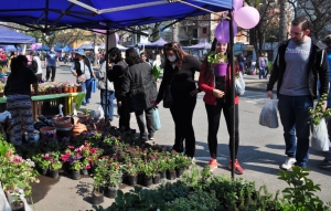 Paseo de las Plantas: un punto de encuentro social, comercial y para recrearse los d&iacute;as s&aacute;bados