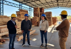 Reconocen labor "modelo" del Centro Foresto Industrial de Arrayanal