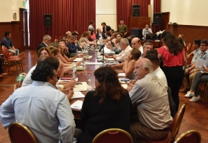 En Plenario de Comisiones se avanza en el Proyecto de Emergencia Econ&oacute;mica