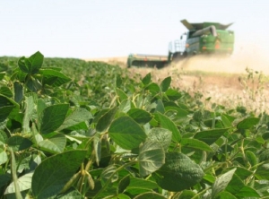 Reforma laboral en agroindustria: as&iacute; son los alcances del nuevo RIMI