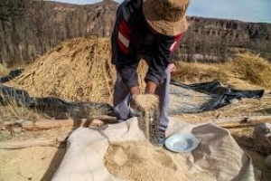 D&iacute;a del Trabajador en Jujuy