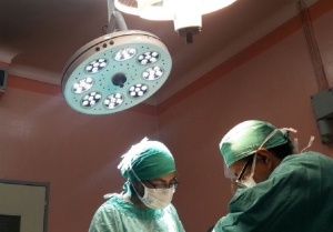 Empleabilidad: las profesiones que no corren riesgo de ser reemplazados por robots