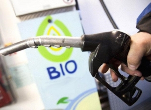 Preocupaci&oacute;n frente a la Ley de Promoci&oacute;n de Combustibles