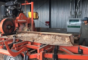 Oportunidades en el sector maderero, la nueva propuesta de &ldquo;Producci&oacute;n en Foco&rdquo;