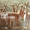 EXAR presenta una Guía de Flora y Fauna de Cauchari-Olaroz