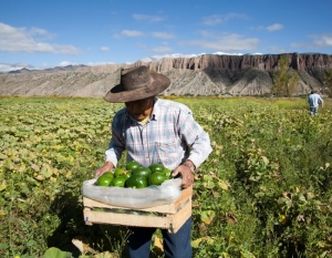 Capacitaci&oacute;n gratuita sobre agroecolog&iacute;a