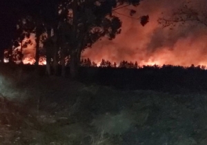 "Quema controlada" ser&aacute; sancionada por perjuicios en Perico