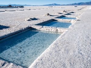 Alberto Fern&aacute;ndez sobre litio: &rdquo;tenemos que venderlo como un producto elaborado&rdquo;