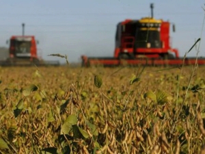 El campo convoc&oacute; a un paro nacional por la falta de gasoil
