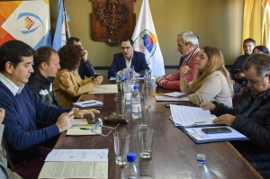 Plataformas Digitales y de Participaci&oacute;n Ciudadana en proyectos de Ordenanza