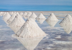 Ganfeng Lithium de China se expande en la industria del litio