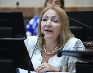 Senadora Giacoppo ratificada como presidenta de la comisi&oacute;n del turismo