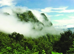 Arde Amazon&iacute;a &iexcl;cuidemos nuestras Yungas!