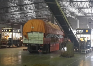 El tabaco es adquirido a $431,74 por kilo desde la Cooperativa de Tabacaleros