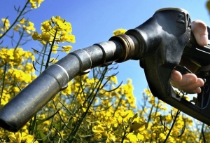 El Gobierno actualiz&oacute; el precio de los biocombustibles