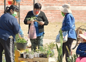 Se desarrolla la Fiesta Provincial de la Floricultura