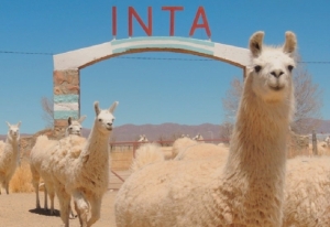 Hornillos y Abra Pampa ser&aacute;n sedes de la Semana de la Ciencia