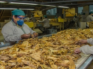 Se reuni&oacute; la Mesa de Trabajo Regional por el Fondo Especial del Tabaco