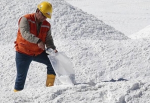 Litio: &iquest;quintuplicar las exportaciones para 2025?