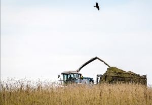 Rige el d&oacute;lar agro y el Gobierno espera que ingresen US$5000 millones para reforzar las reservas