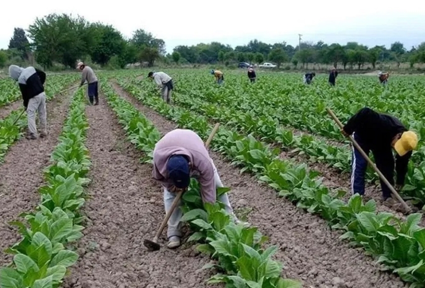 Transfirieron 220 millones de pesos del FET a Jujuy