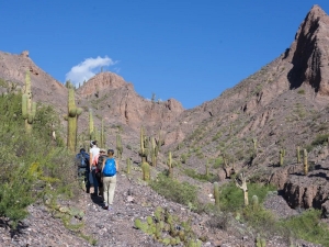 Otro r&eacute;cord de turistas en Jujuy por el finde XXXL que supera las expectativas