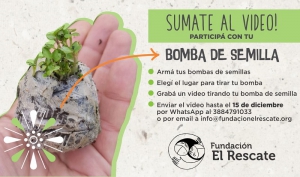 Fiestas de Fin de A&ntilde;o con &ldquo;bombas de semillas&rdquo;