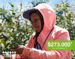 &ldquo;Por encima de la inflaci&oacute;n&rdquo;: la prestaci&oacute;n por desempleo del RENATRE subi&oacute; un 37% en lo que va del 2025