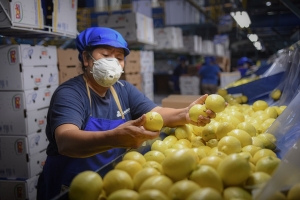 Ledesma volvi&oacute; a liderar las exportaciones argentinas de c&iacute;tricos