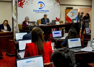 Pavimentaci&oacute;n p&uacute;blico-privada de calles, uno de los ejes aprobados por concejales capitalinos