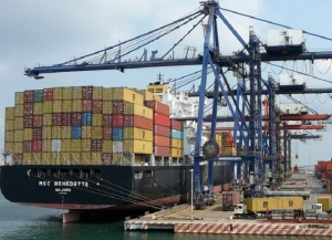 Miner&iacute;a juje&ntilde;a en el registro exportador nacional