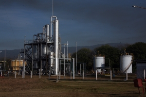 Azucareros en alerta por el proyecto de "Ley &Oacute;mnibus"